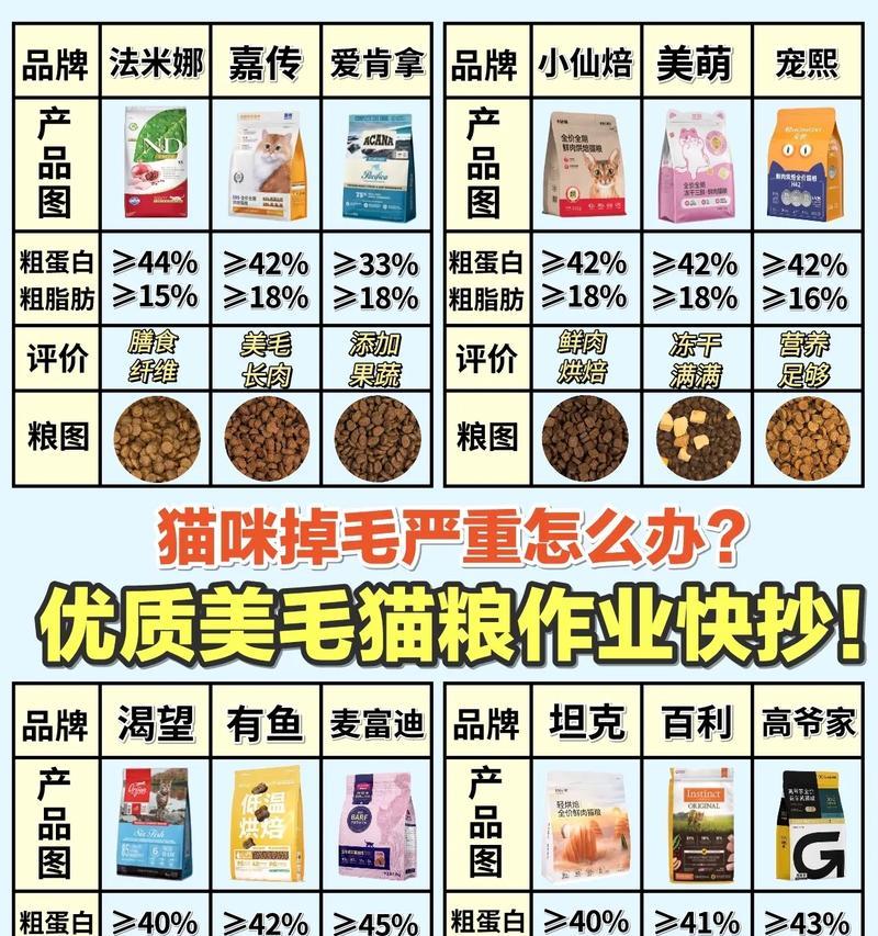 猫被大量猫粮砸到怎么办？如何确保猫咪安全？