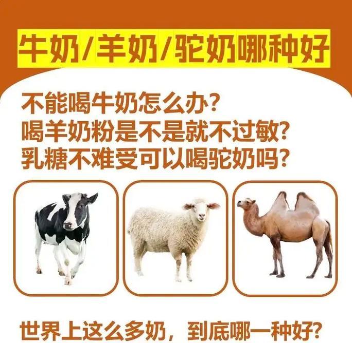 羊驼奶粉的成分和用途是什么？