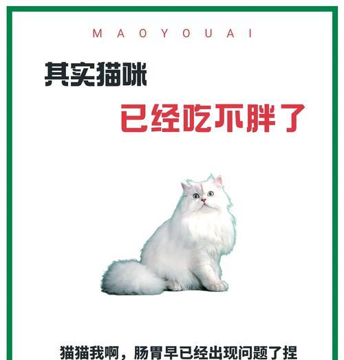 猫咪仅吃猫粮暴瘦是正常现象吗？可能的原因是什么？
