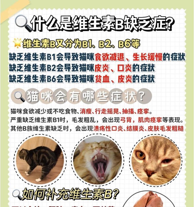 猫吃虾不爱吃猫粮了吗为什么？猫咪偏食可能的原因是什么？
