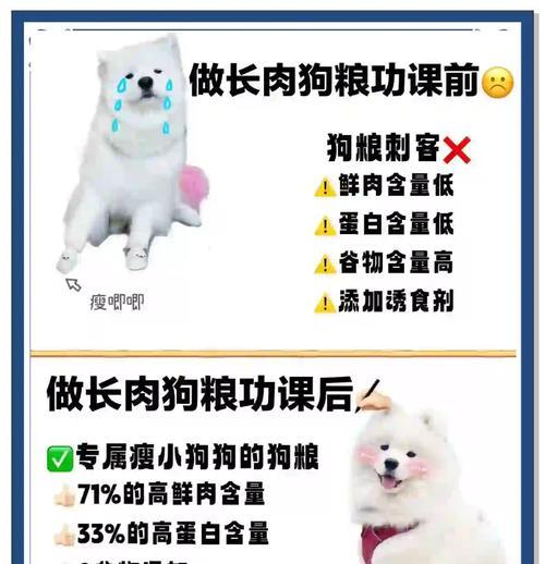 狗狗偏爱鱼粮？背后的原因是什么？