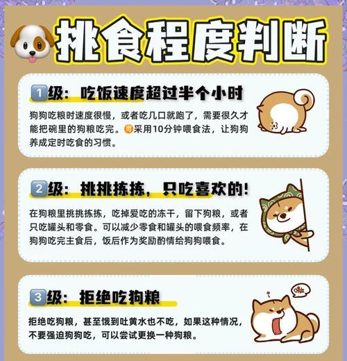 狗狗为何对猫粮上瘾？如何纠正这一饮食习惯？