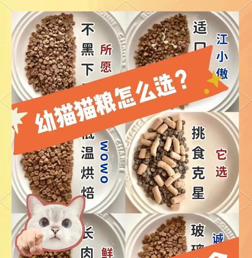 雪纳瑞发情期持续多久？何时进行孕检？