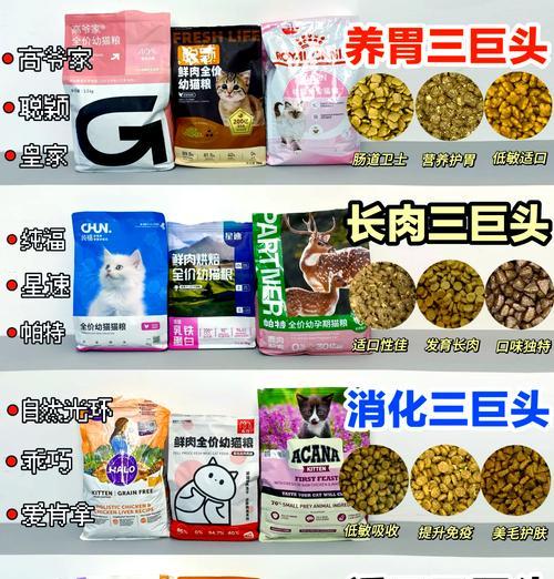 雪纳瑞发情期持续多久？何时进行孕检？