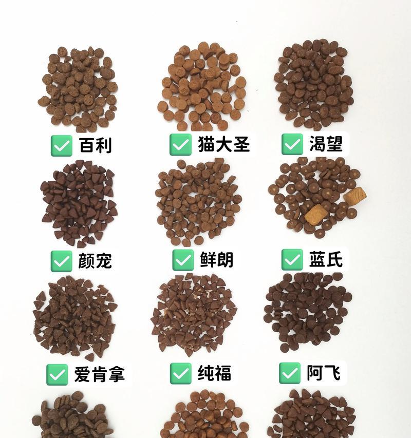 雪纳瑞发情期持续多久？何时进行孕检？