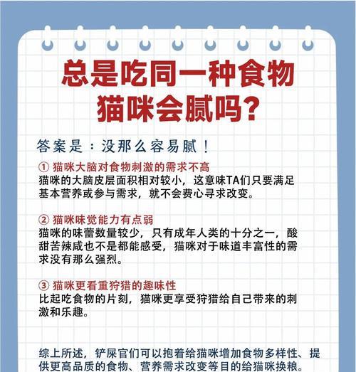 如何安全地给猫咪完全换粮？换粮过程中应注意什么？