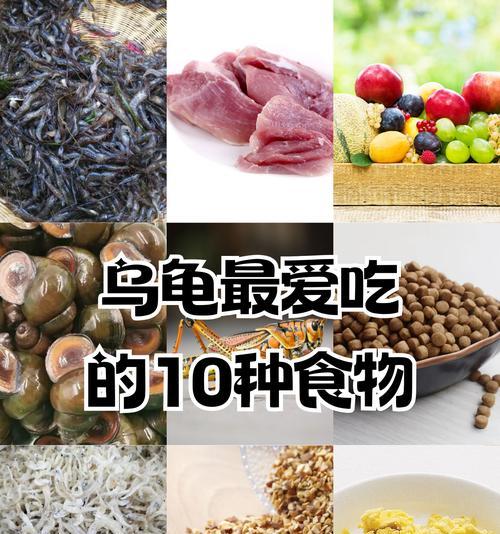 热带鱼可以吃猫粮吗？正确的喂食方法是什么？