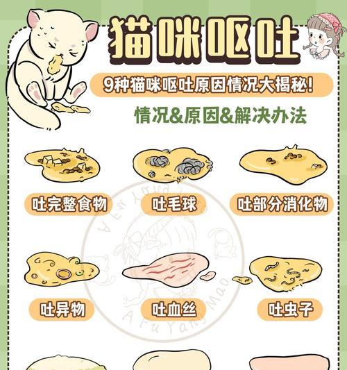 猫粮吃太饱呕吐的原因是什么？