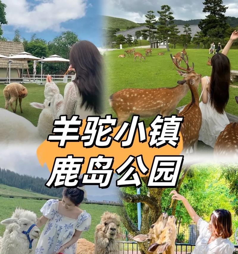 贵阳羊驼小镇的住宿条件如何？