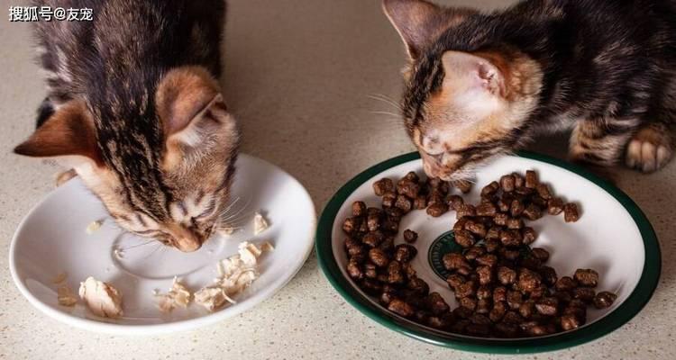 猫咪大便中出现未消化猫粮的原因是什么？如何解决？