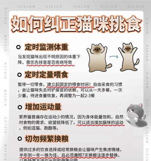 猫咪抛食后逃跑的原因是什么？如何训练其正常进食？