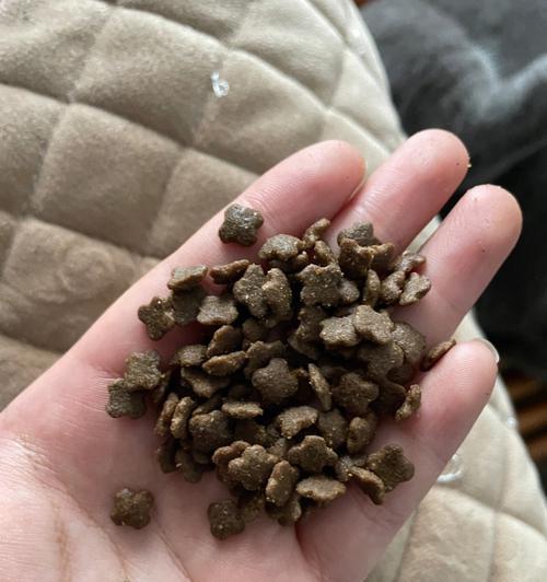 卫士猫粮臭味重吗怎么办？羊驼宝宝爱吃什么东西呢？