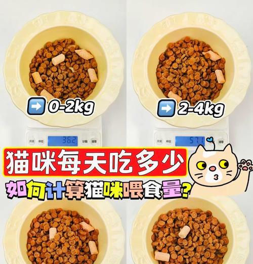 猫咪吃完猫粮立即排便怎么办？有没有解决方法？