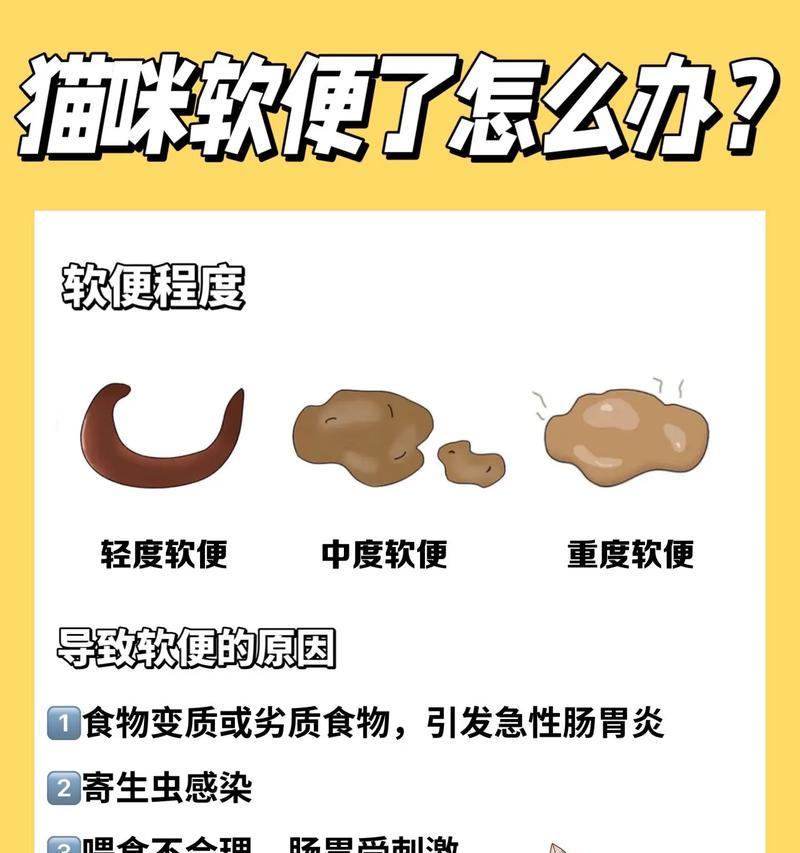 猫咪吃完猫粮立即排便怎么办？有没有解决方法？