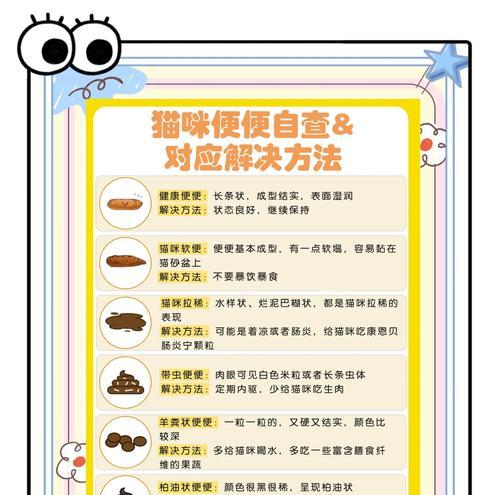 猫咪吃完猫粮立即排便怎么办？有没有解决方法？