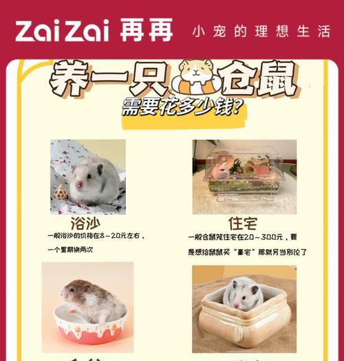 宠物店买仓鼠注意什么问题？购买仓鼠时应该注意哪些问题？