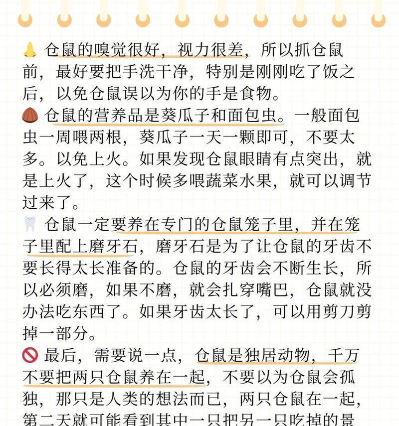 宠物店买仓鼠注意什么问题？购买仓鼠时应该注意哪些问题？