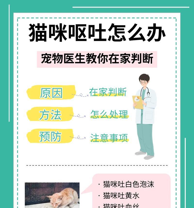 猫吃猫粮后呕吐拉稀是什么原因？如何处理这种情况？