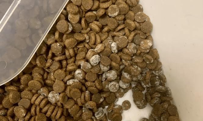 如何识别猫粮是否已经变质？