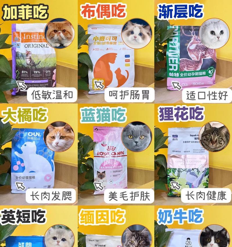 小猫1-10个月应该吃什么猫粮？