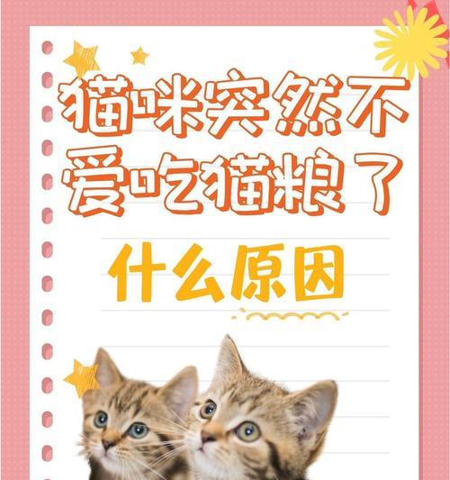 幼猫为何突然拒绝吃猫粮？如何解决？