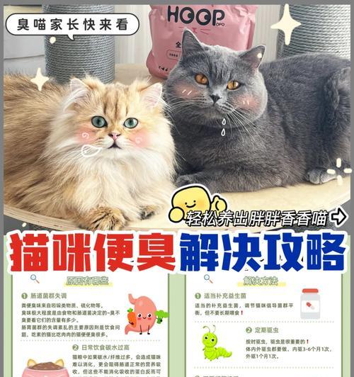为什么猫总是把猫粮弄到外面才拉屎？如何解决这一行为问题？