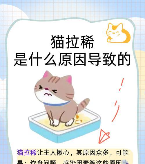 为什么猫总是把猫粮弄到外面才拉屎？如何解决这一行为问题？