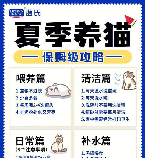 家中无猫粮时应如何应急喂食？有哪些推荐？