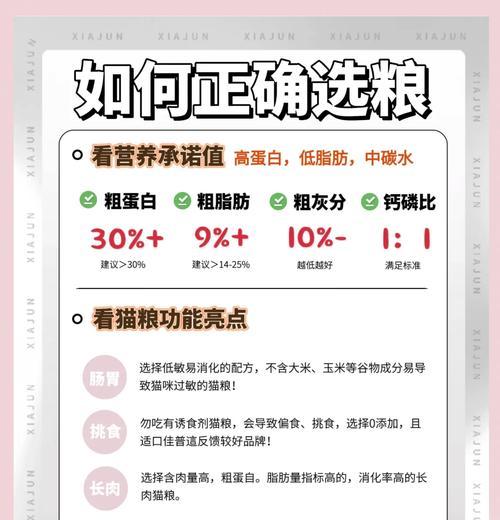 如何为家中的猫咪选择合适的猫粮品种？