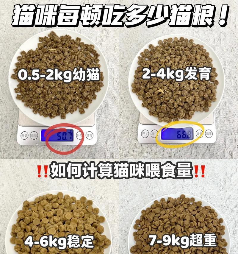 喂的猫粮猫吃不完怎么保存？猫粮的正确保存方法是什么？