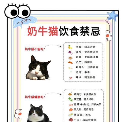 奶牛猫适合哪种猫粮？选择时应注意哪些营养成分？