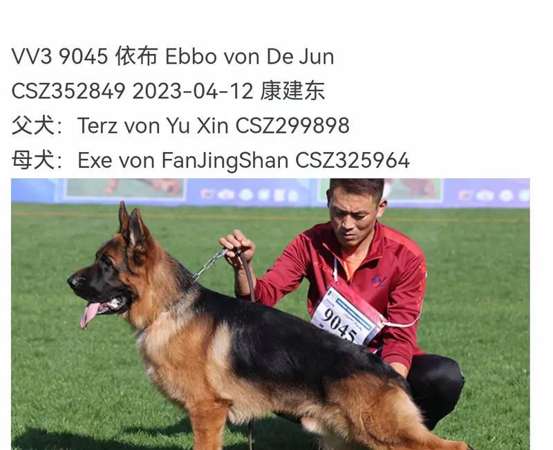 马尔斯德牧的拍卖价格是多少？如何参与德牧的拍卖活动？