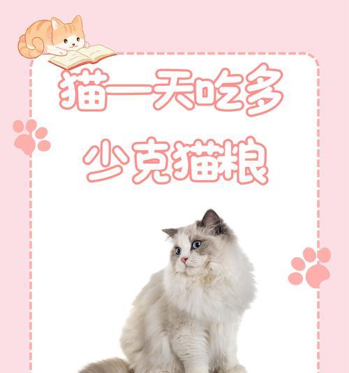 倒猫粮时如何准确测量体重？