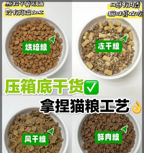 猫粮怎么选者安全？安全标准和选择技巧是什么？