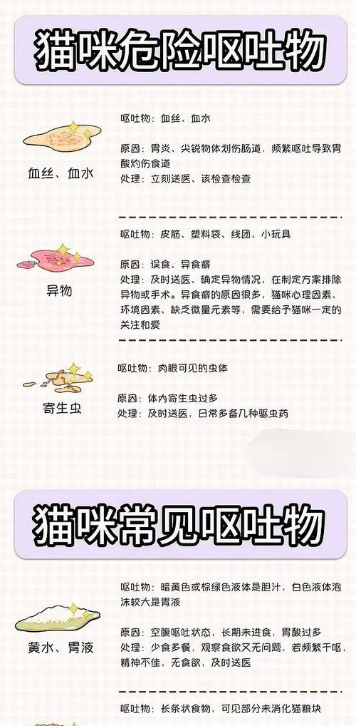 猫吐了但没有猫粮时应该吃什么？