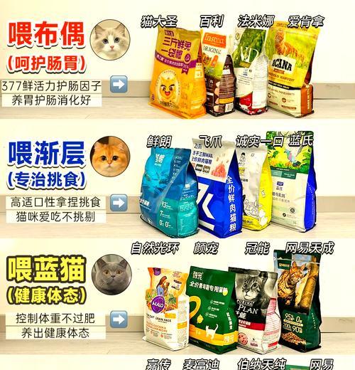 布偶猫繁育期应吃什么猫粮？有哪些推荐？