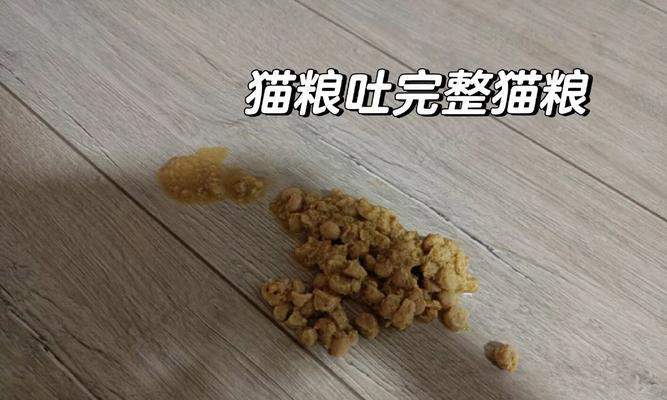 猫总是把猫粮分开吃会怎么样？会影响消化吗？