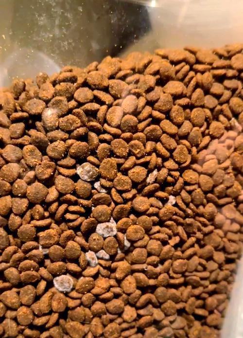 羊眉吐气猫粮怎么喂好吃？如何科学喂养羊眉吐气猫粮？
