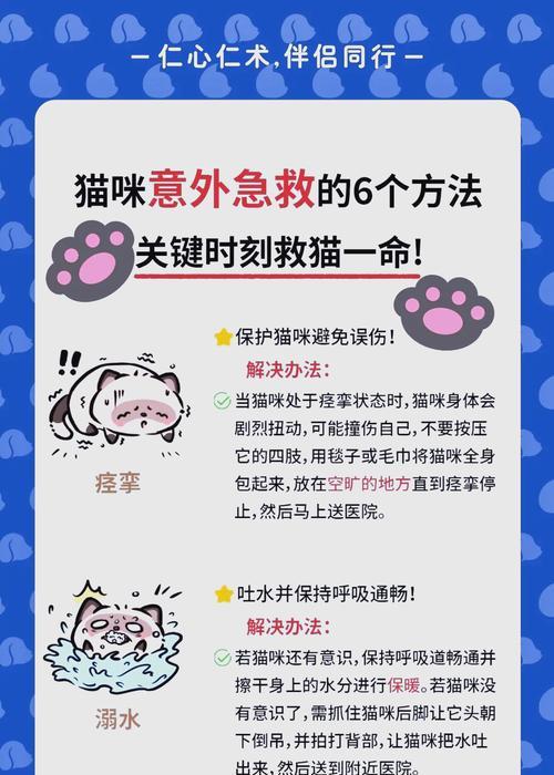 猫咪断粮时应如何急救？