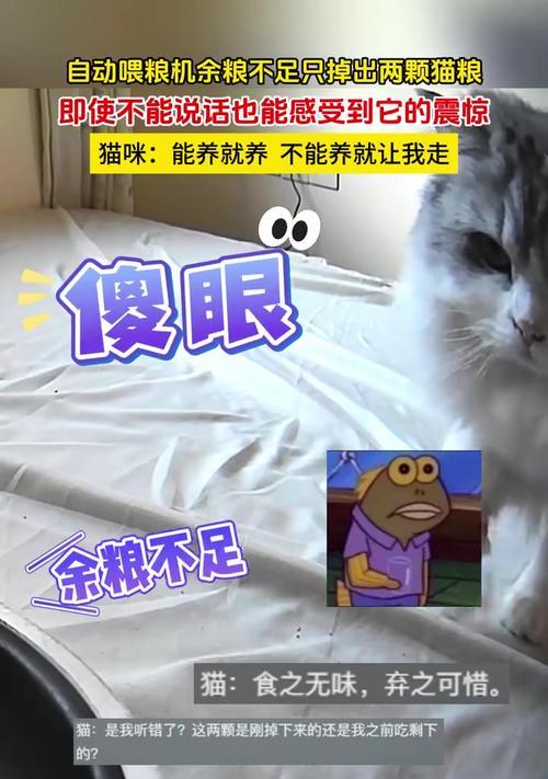 自动喂粮机猫粮变质了怎么办？如何预防猫粮变质？