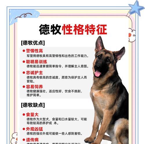 德牧九个月重量多少？如何判断德牧是否达到标准体重？