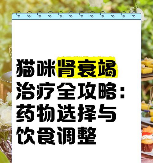 猫粮导致肾炎应如何治疗？需要服用什么药物？