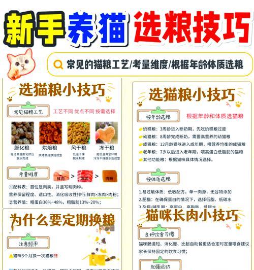 桃源游乡购买猫粮的流程是什么？有哪些推荐品牌？