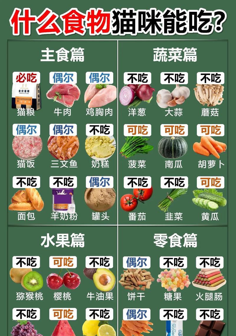 猫吃什么可以不喂猫粮？有哪些替代食品？