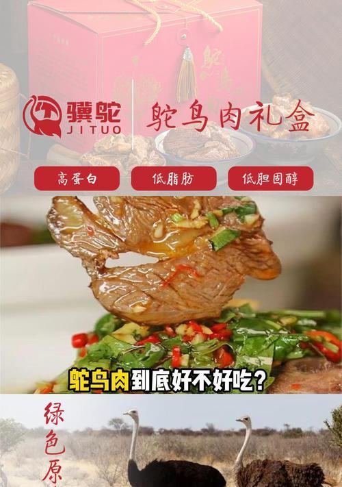 鸵鸟和羊驼的日常饮食包括哪些食物？它们的饮食习惯有何不同？