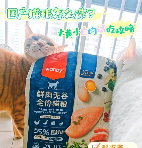猫粮放置五个月后还能食用吗？有哪些安全考虑？