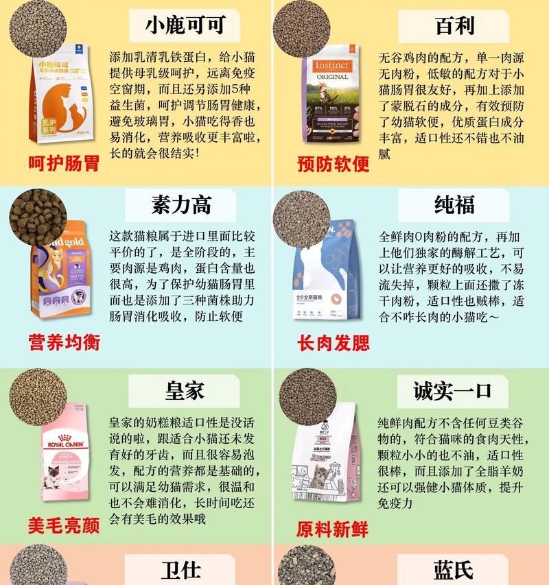 如何说服父母正确喂食猫粮？