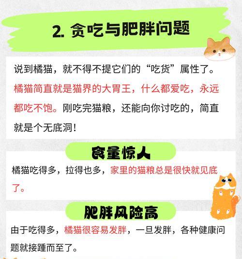 猫咪偏爱罐头而不吃猫粮的原因是什么？如何调整饮食习惯？