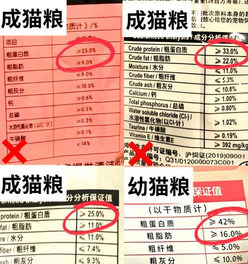 猫咪吃幼猫粮会瘦吗？原因是什么？