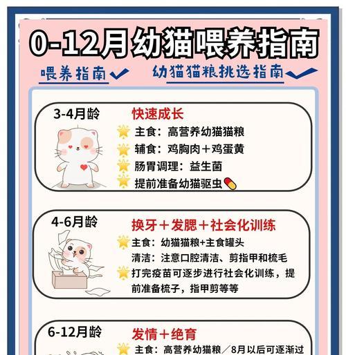 如何正确喂食大只猫粮以促进猫咪健康成长？